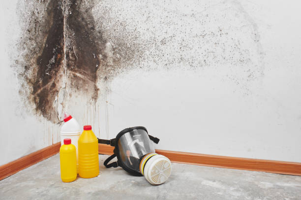 Best Crawl Space Mold Removal  in Fruitdale, CA