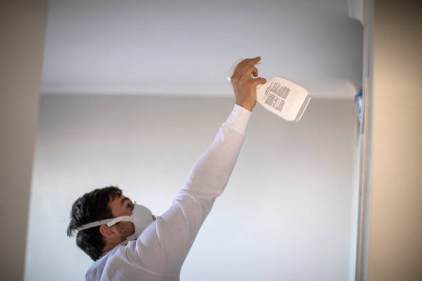 Best Same-Day Mold Removal  in Fruitdale, CA