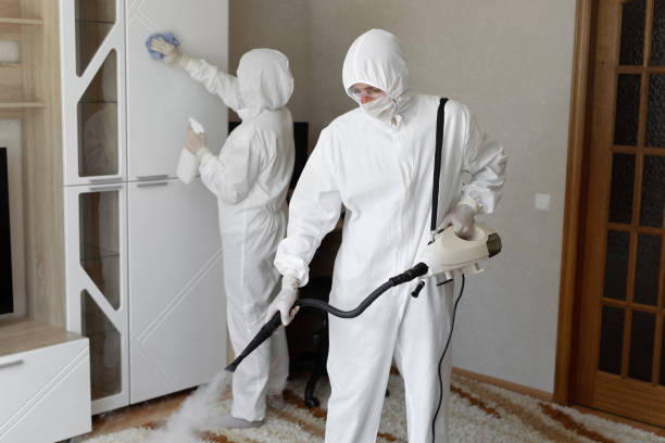 Best Certified Mold Removal  in Fruitdale, CA