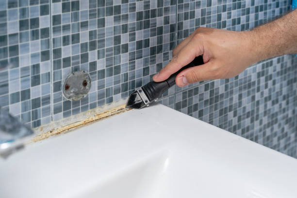 Best Mold Cleaning Services  in Fruitdale, CA